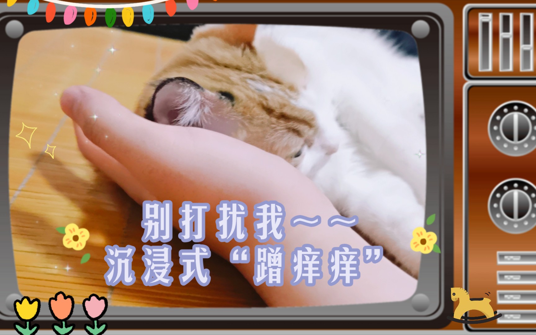 别打扰我～～沉浸式"蹭痒痒"