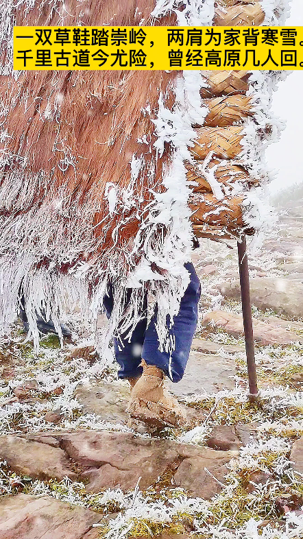 [图]网友:一双草鞋踏崇岭，两肩为家背寒雪。@