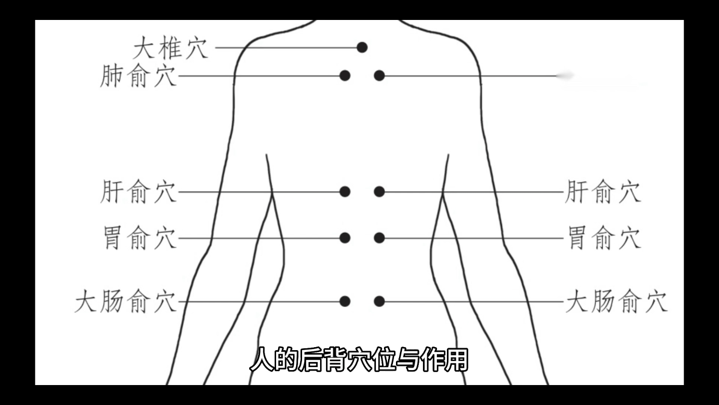 后背三条大经络 图解图片