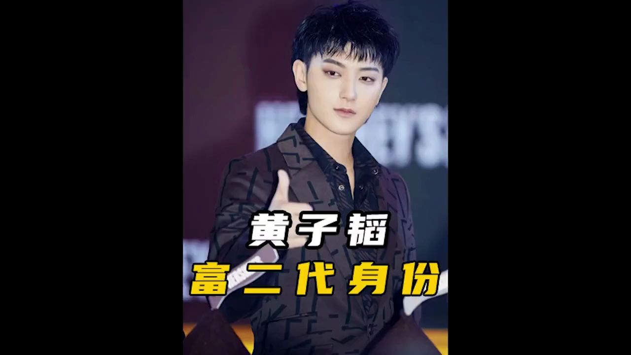 黄子韬究竟多有钱?父亲给他留下了上百亿资产#黄子韬