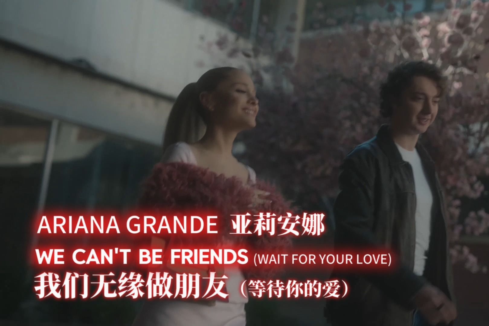 [图]Ariana Grande 亚莉安娜 - 我们无缘做朋友 we can't be friends (wait for your love) (中文字幕)