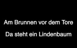 [图]德语艺术歌曲 舒伯特 菩提树 德语发音 der Lindenbaum 范读 冬之旅