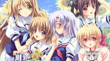 もしも明日が晴れならば-哔哩哔哩_Bilibili