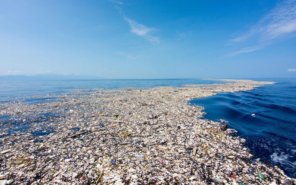 marine microplastic pollution needs our actions.