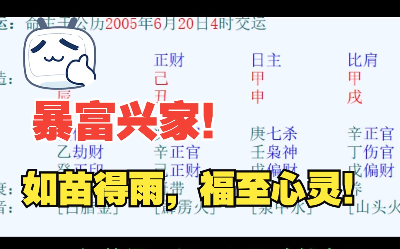 暴富兴家,如苗得雨!哔哩哔哩bilibili