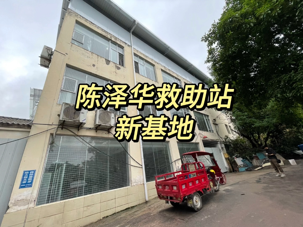 各位“陈婆婆负债集团云股东”,晚上好呀,这是婆婆的新基地,现在渝北基地的小动物,已经全部搬上去啦,一天门也尽量这两天搬,加上婆婆前天部分...