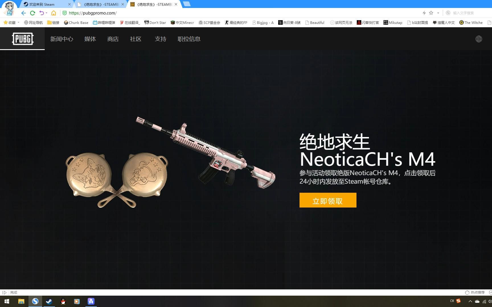 【PUBG】当你进入一个盗号网站会看到什么哔哩哔哩bilibili