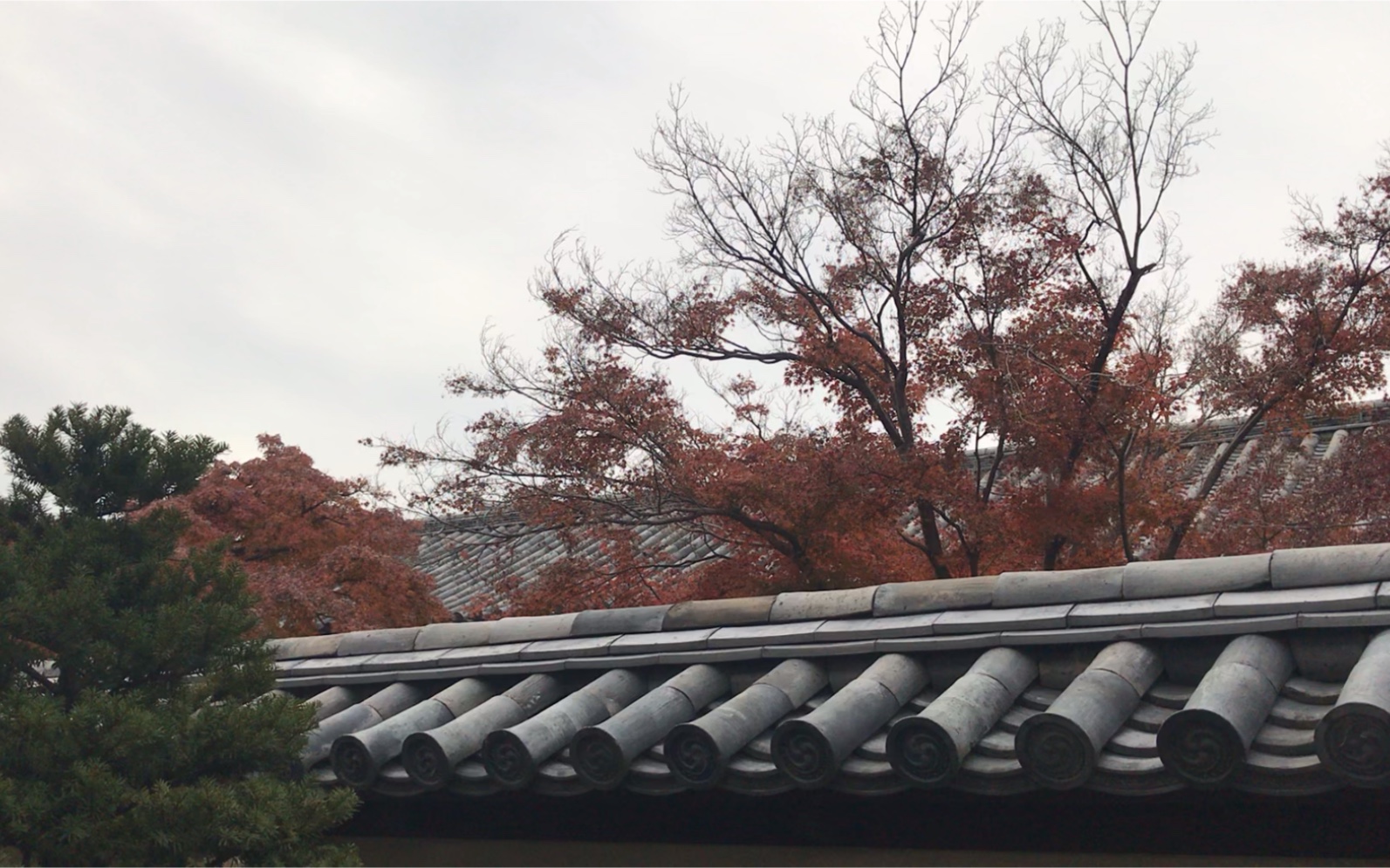 [图]法隆寺