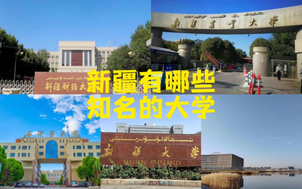 新疆有哪些知名的大学