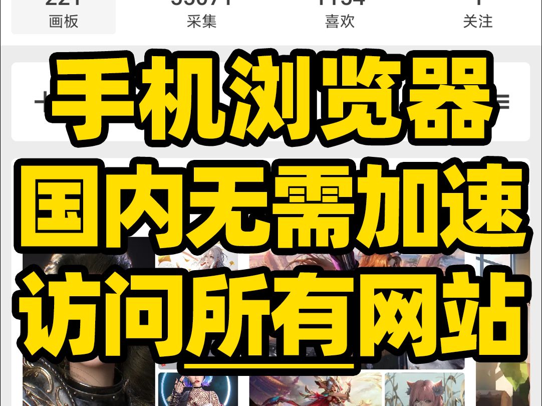 [图]刺客边风！手机浏览器软件app，国内无需加速，访问google、youtube、ins、twitter、tiktok、pixiv、pinterest网页版网站