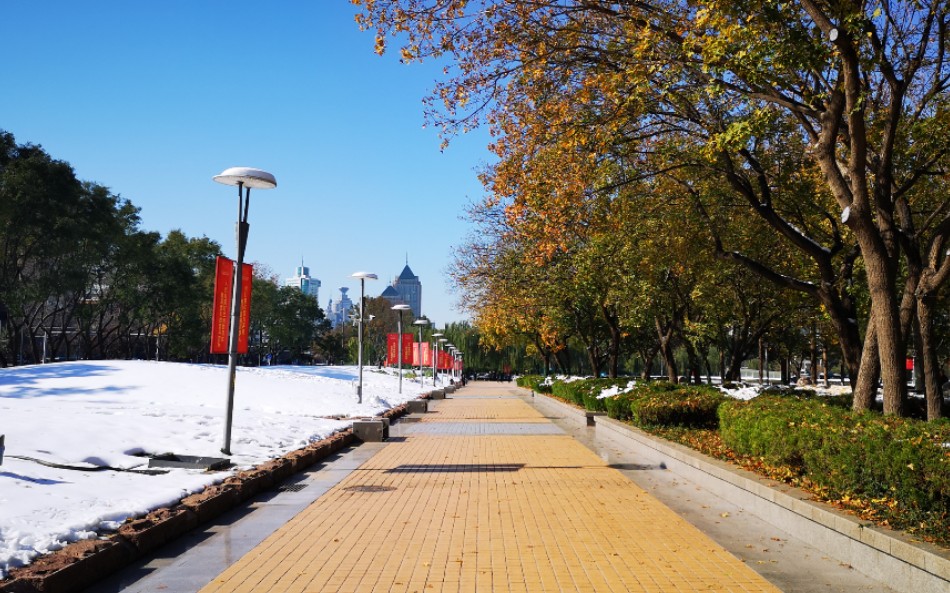 [图]雪后的泉城广场树上的秋装还没有完全脱去，地上就盖上了厚厚的冬被。蓝天下彩虹伴着音乐喷泉出现。