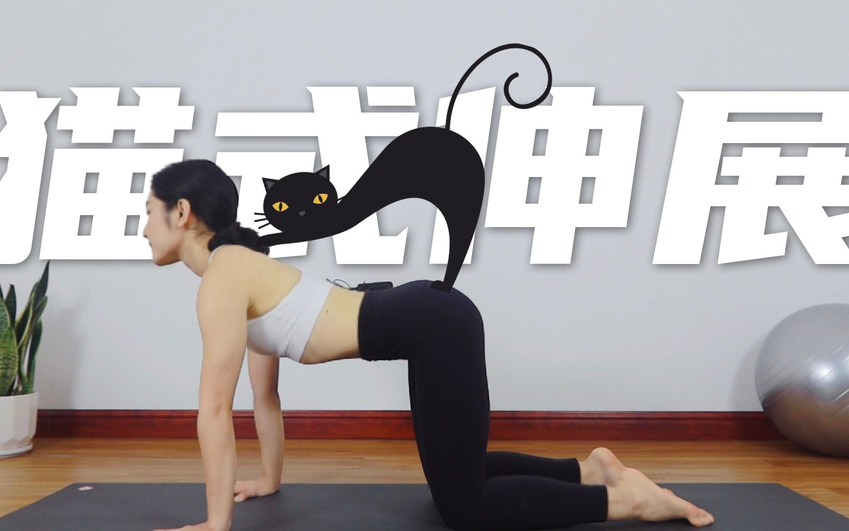 瑜伽猫伸展式动作图片图片