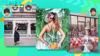 ソノサキ 知りたい見たいを大追跡 1811 哔哩哔哩 つロ干杯 Bilibili