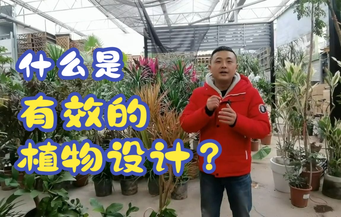 什么是有效的植物设计?哔哩哔哩bilibili