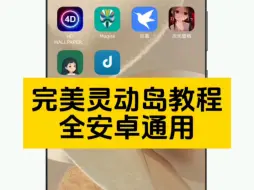 Download Video: 【安卓完美灵动岛】保姆级使用教程！！