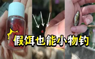 【小物钓-假饵测试】塑胶的假红虫，切一小块，假装水蚤玩小物钓，效果挺好。