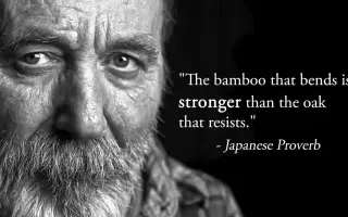 名言警句英文 搜索结果 哔哩哔哩 Bilibili