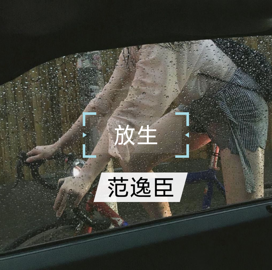 放生范逸臣.flac 【无损音乐】4K哔哩哔哩bilibili