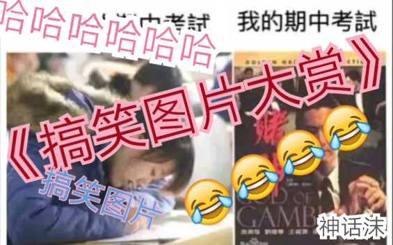 #《搞 笑 图 片 大 赏》哈哈哈哈哈哈哔哩哔哩bilibili