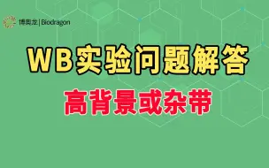 Download Video: WB实验之高背景或杂带问题解答