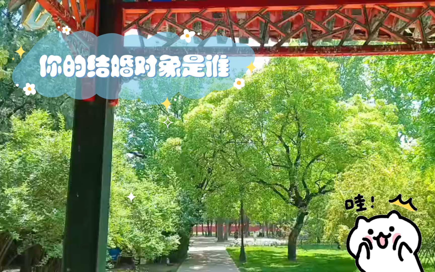 【外景】你的结婚对象是谁?你们的故事?哔哩哔哩bilibili