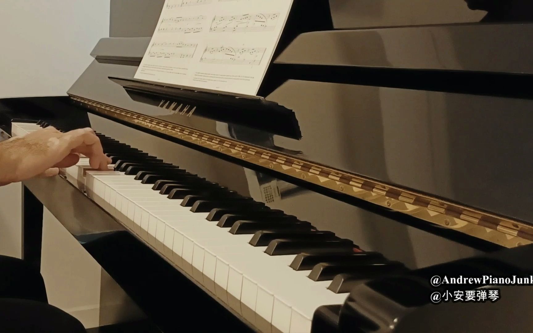 antondiabelli作曲c大调中速快板英皇钢琴考试20232024第1级a1