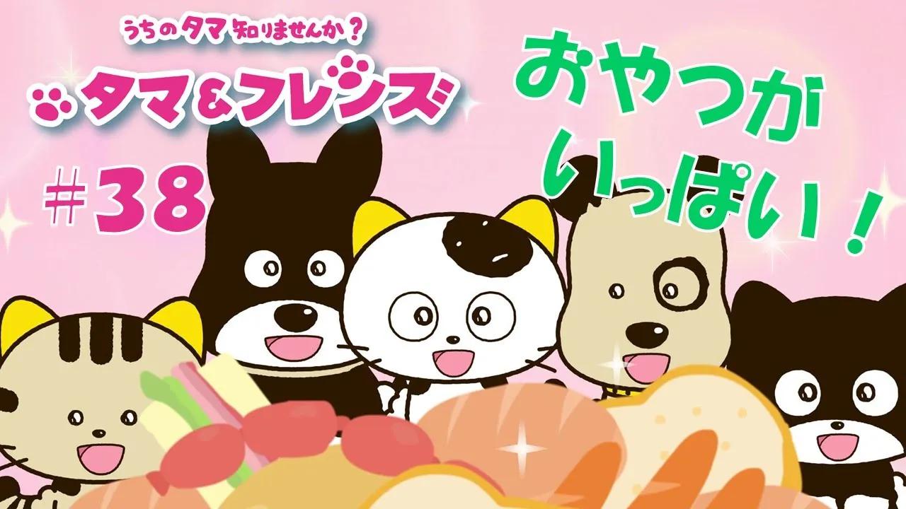 生肉tv动画猫狗宠物街第38话