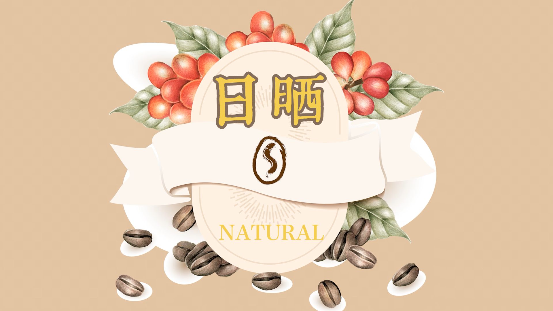 咖啡三大主流加工方式之 『 日晒法 I Natural 』哔哩哔哩bilibili