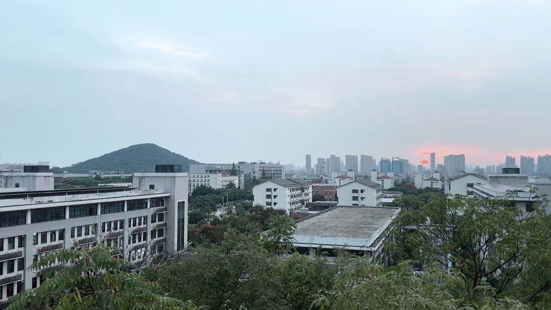 坐下来欣赏我们身边的风景吧~哔哩哔哩bilibili