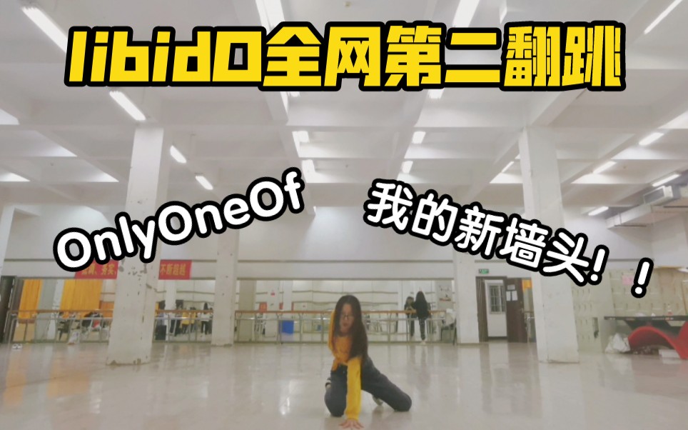 [图]OnlyOneOf翻跳 | 没有卷尺也能力比多 | libidO(性冲动)全网第二翻跳