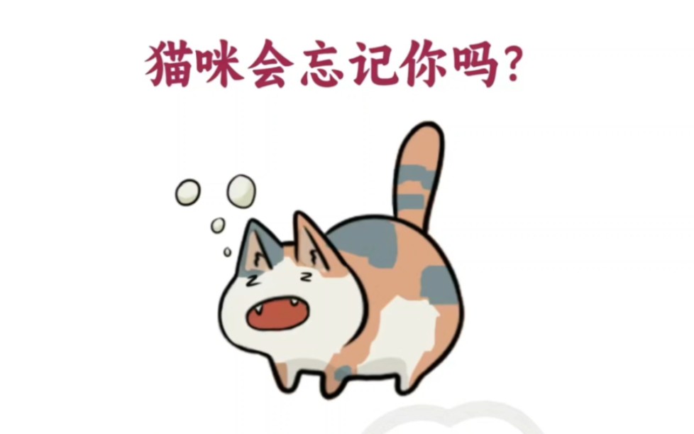 养猫小技巧77:你的猫咪多久会忘记你呢?铲屎官快来看一下吧!(养宠超星人专属粉丝勋章开通了,喜欢的小伙伴一起来佩戴吧!)哔哩哔哩bilibili