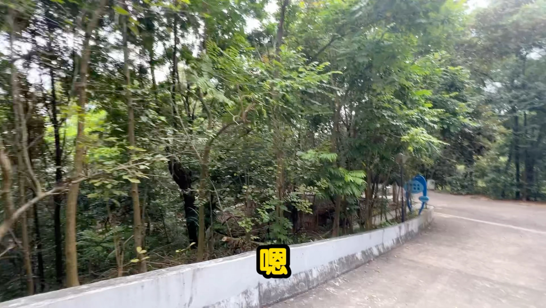 边走边聊：我对上年纪的看法，以及运动和饮食