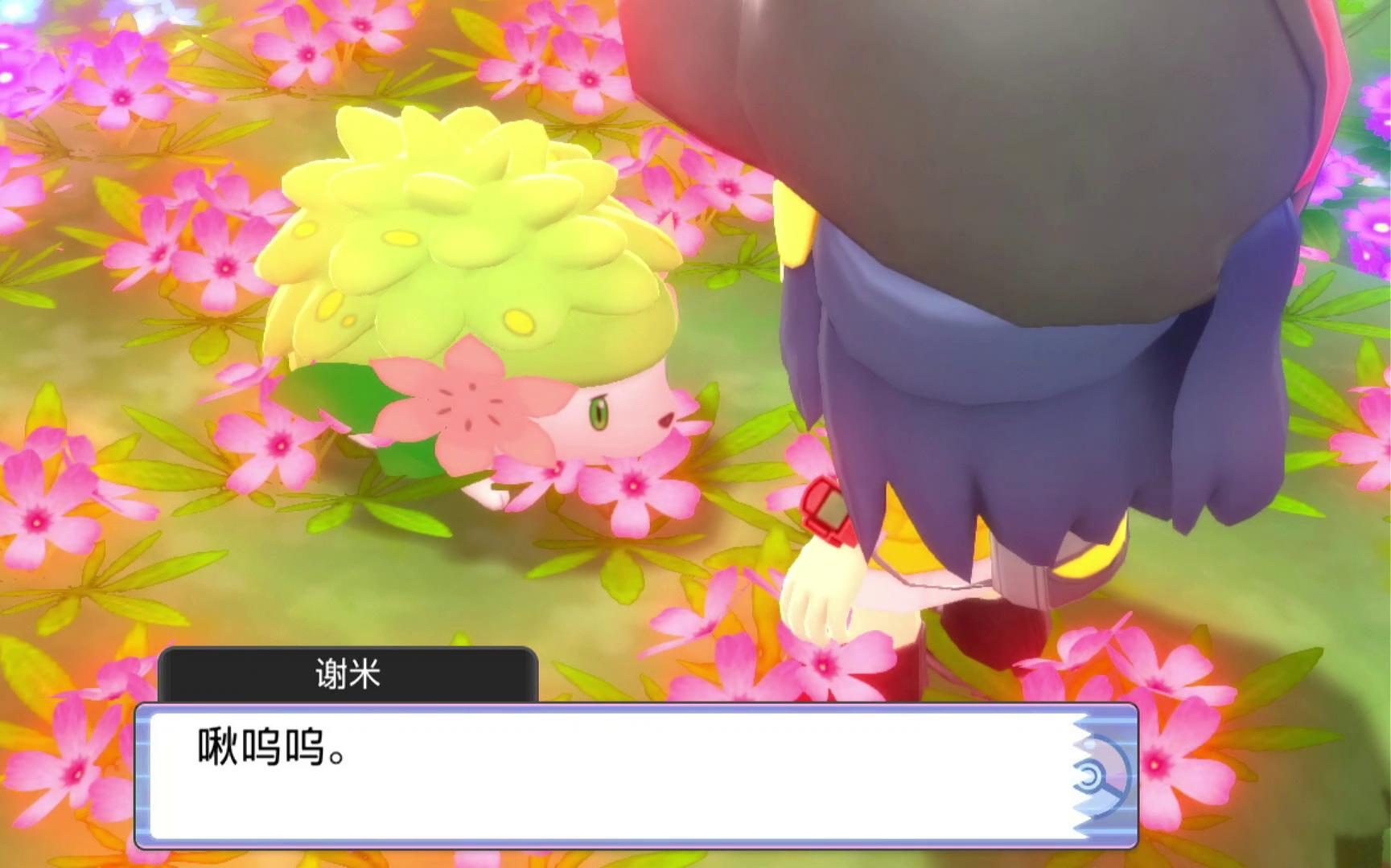 宝可梦日配信大木博士的信 谢米天空形态