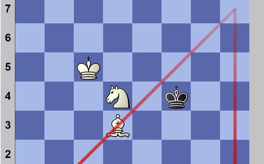 马象杀单王_全过程杀王国际象棋教学