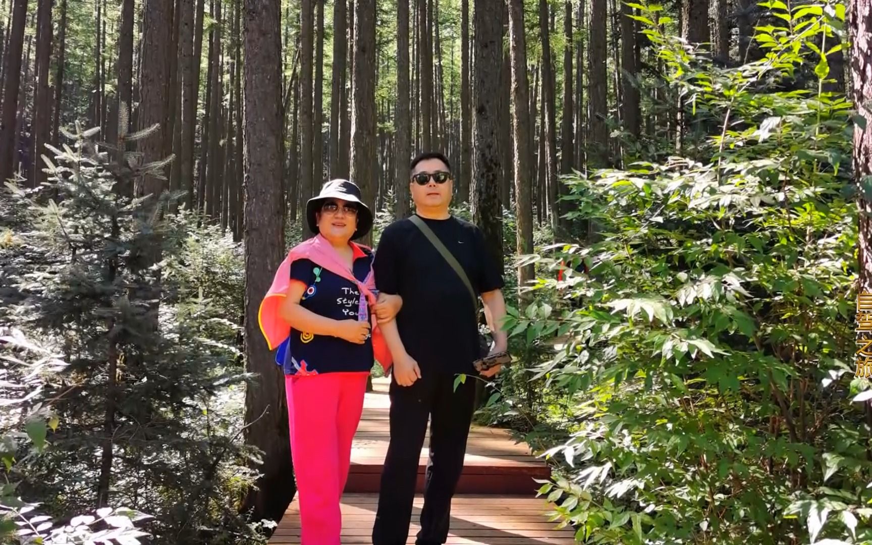 山西芦芽山、壶口瀑布自驾之旅(2)走进大山享受大自然的清新空气哔哩哔哩bilibili