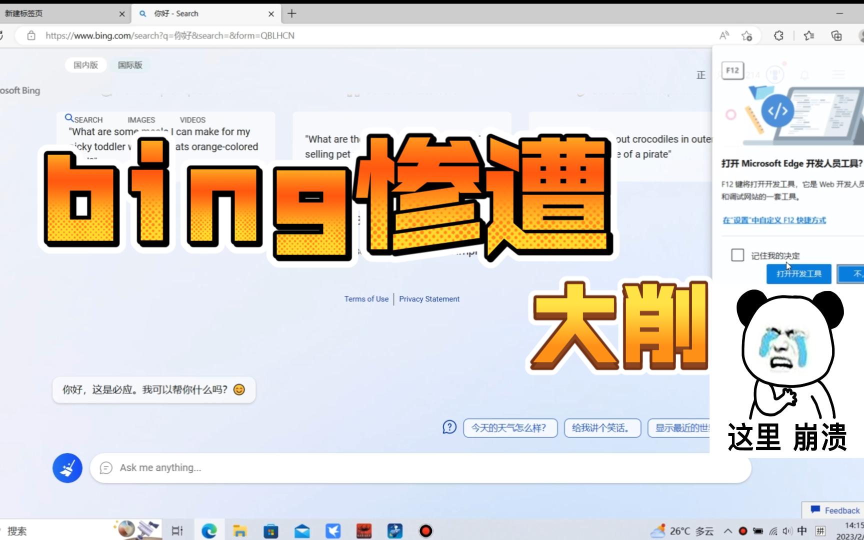 bing惨遭大削 微软的这波操作还没开始就结束了哔哩哔哩bilibili