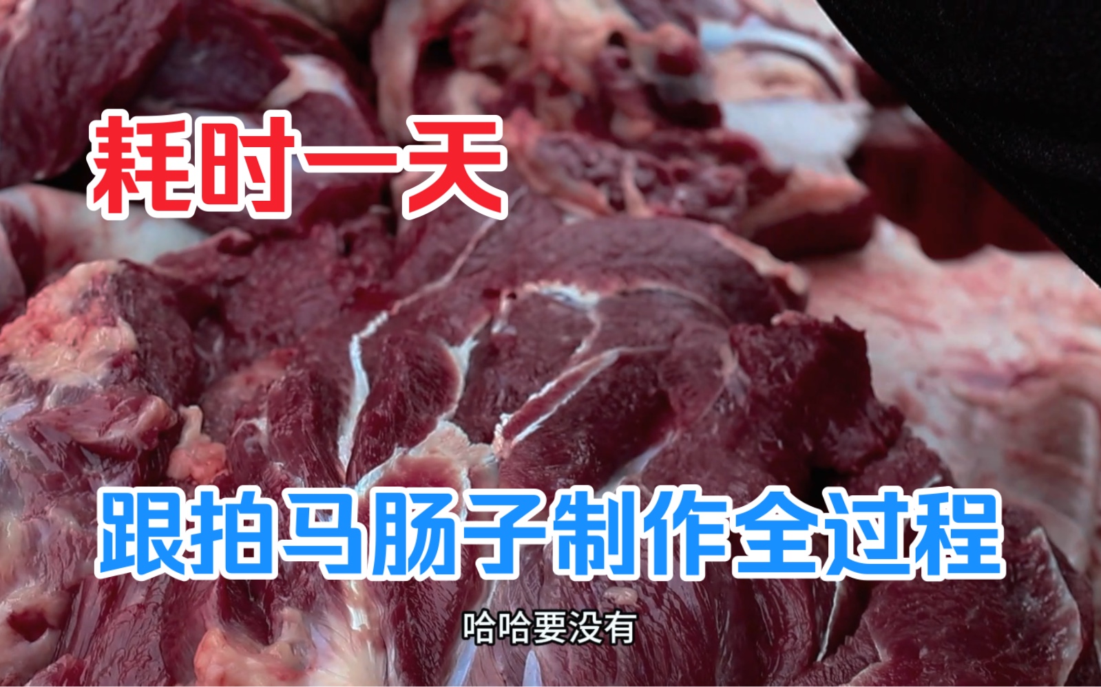 【揭秘】新疆特色美食:马肠子的独特制作过程哔哩哔哩bilibili