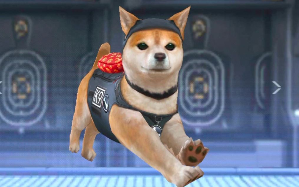 今日份六边形狗勾依旧发挥稳定