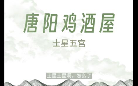 土星五宫哔哩哔哩bilibili