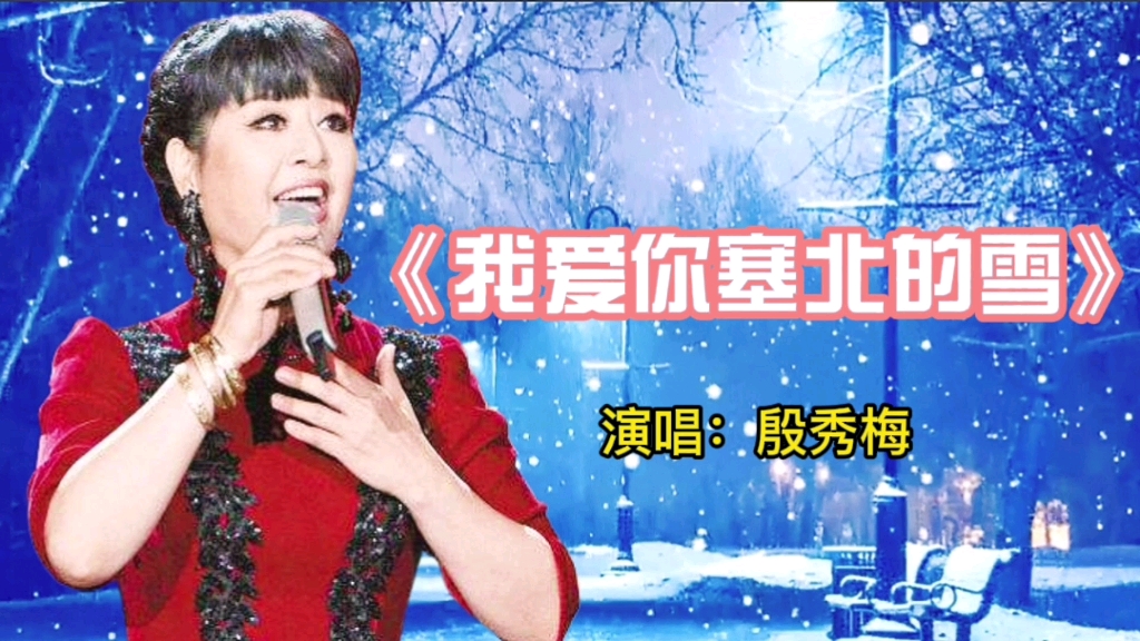 请欣赏殷秀梅演唱的经典歌曲我爱你塞北的雪