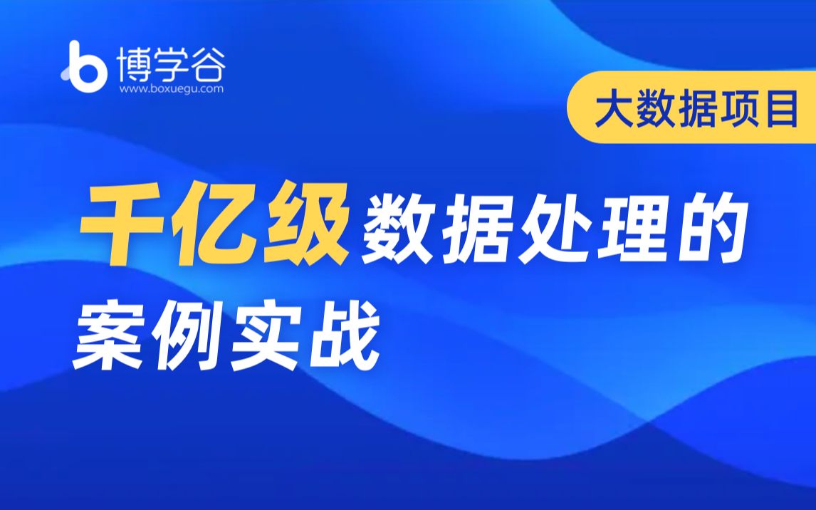 [图]千亿级数据处理的案例实战/大数据/入门宝典/小白必备