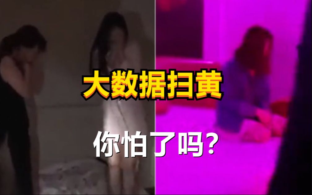 什么是大数据扫黄,你怕了吗?哔哩哔哩bilibili