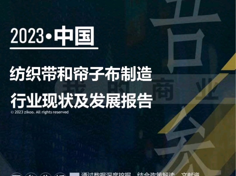 2023年版纺织带和帘子布制造行业现状及发展报告哔哩哔哩bilibili