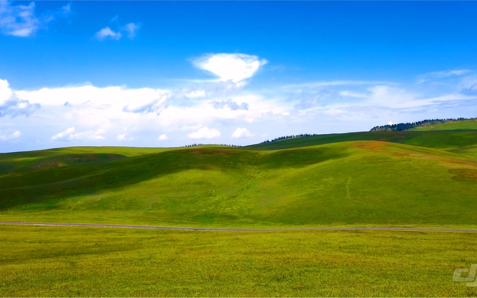 喀拉峻大草原,美得如屏保!_哔哩哔哩_bilibili