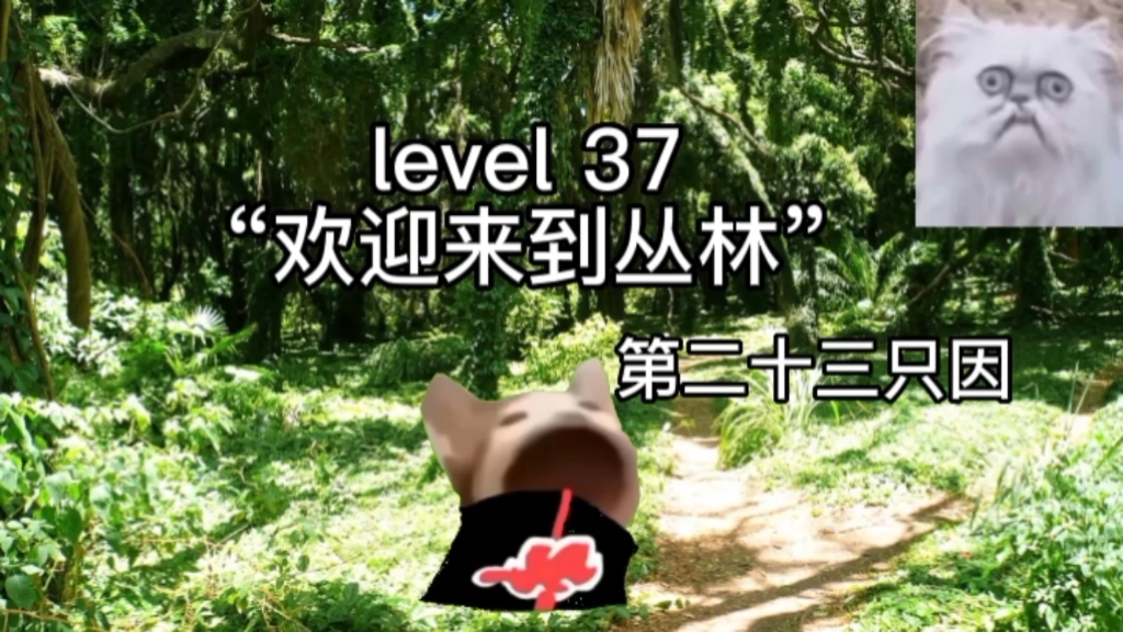 [图]第二十三集 level 37 沼泽……啊呸，欢迎来到丛林