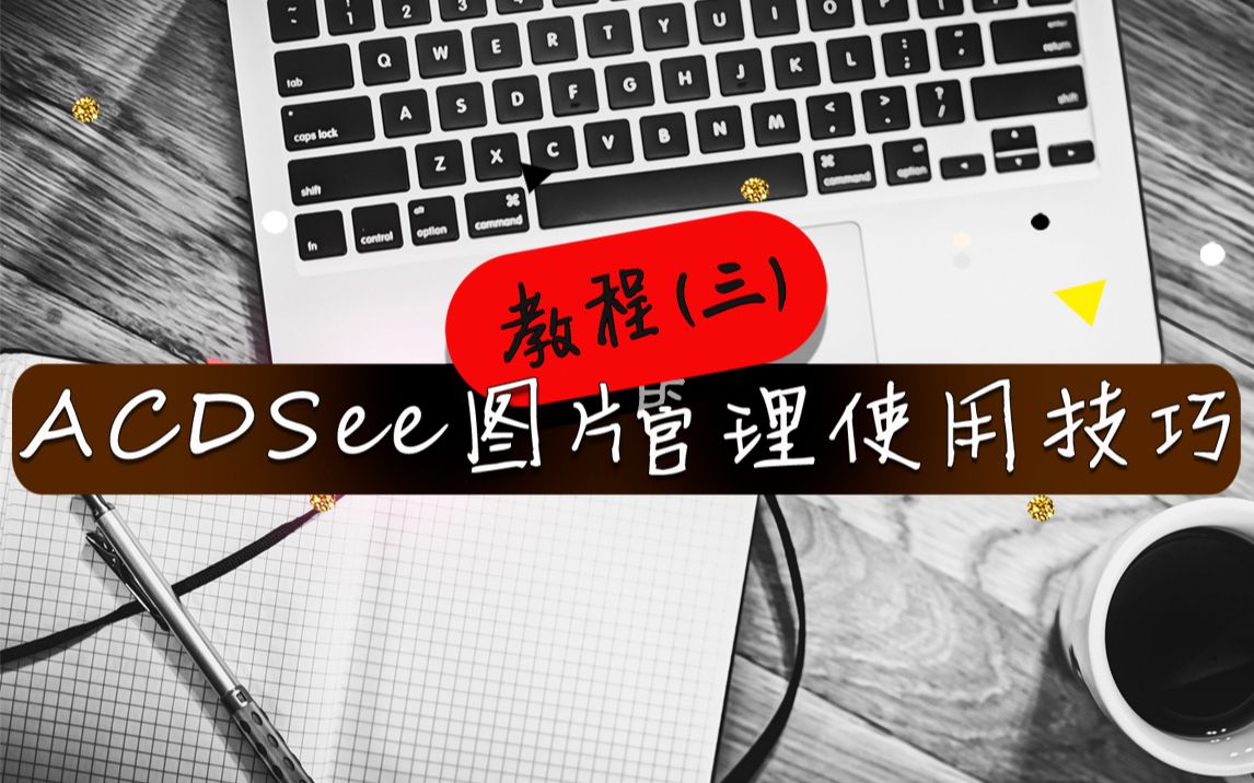 【图片管理】ACDSee Ultimate 2019如何批量处理图片哔哩哔哩bilibili