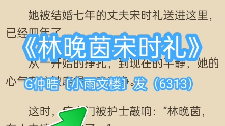 《林晚茵宋时礼》高质量言情小说《林晚茵宋时礼》全文无弹窗阅读哔哩哔哩bilibili