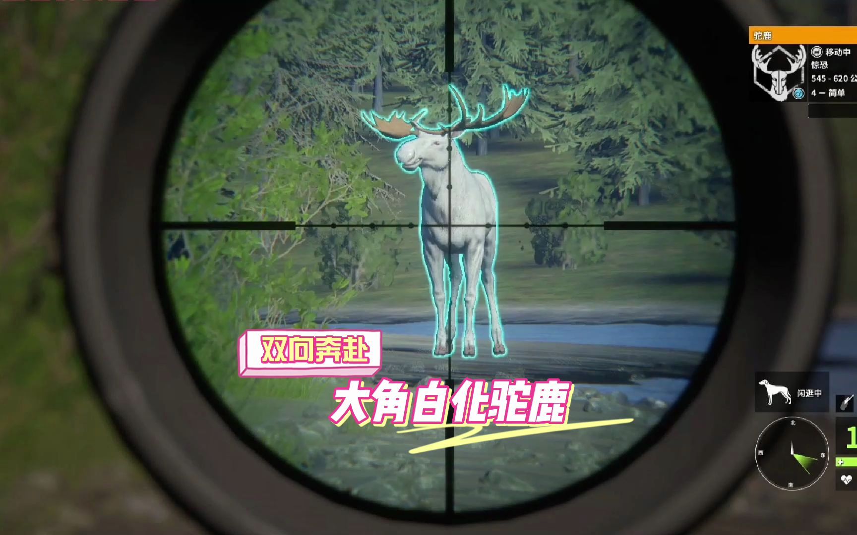 《荒野的召唤》当猎人与白化驼鹿的双向奔赴
