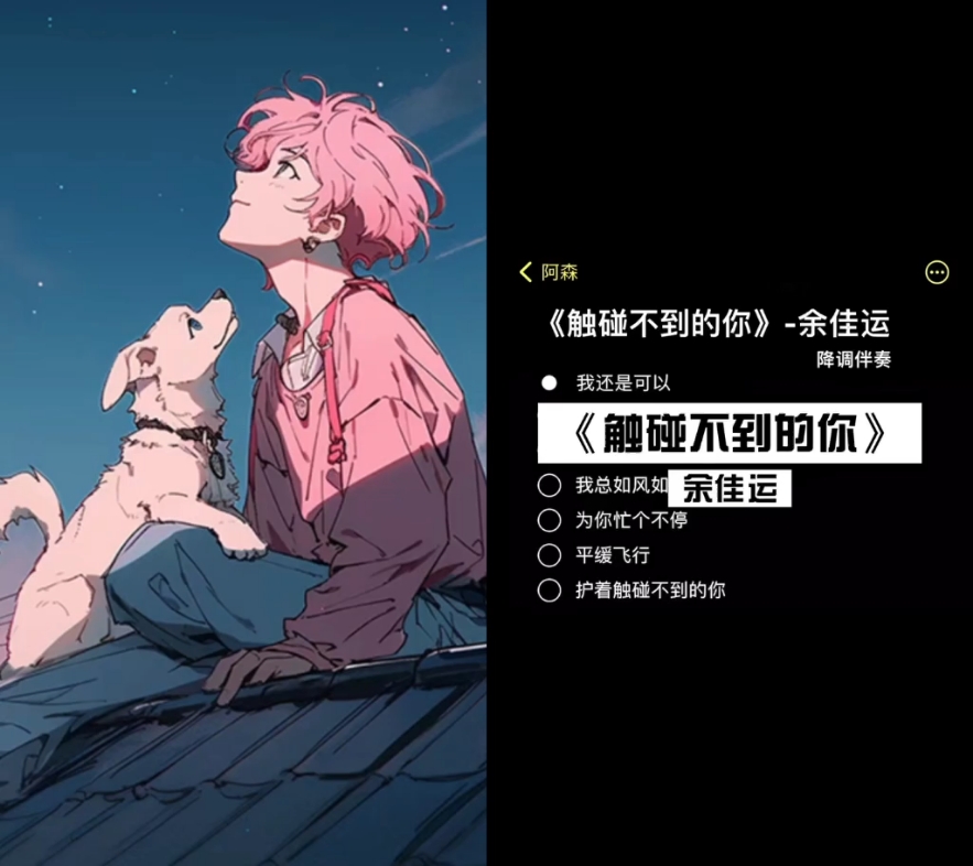 触碰不到的你(翻唱)