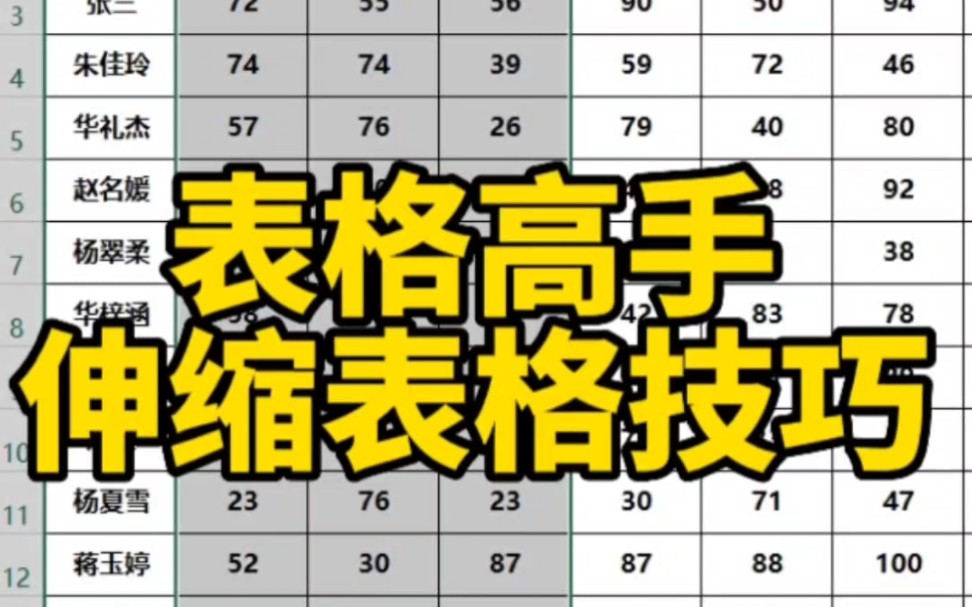 Excel表格伸缩技巧哔哩哔哩bilibili